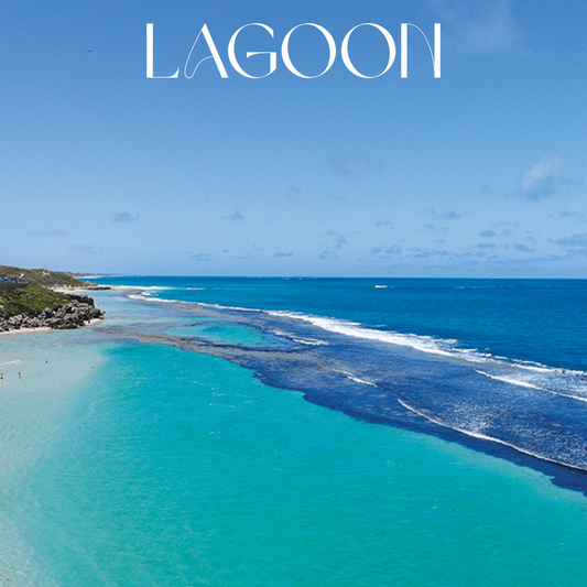 Coastal Scented Diffuser Refill - Lagoon