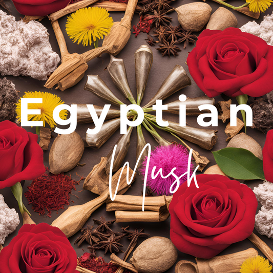 Scented Diffuser Refill - Egyptian Musk