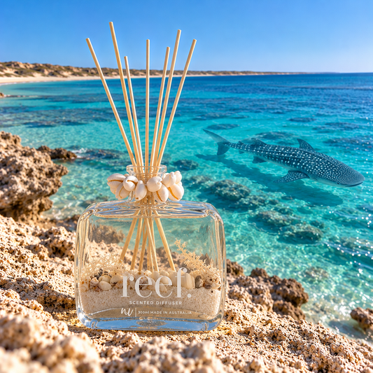 Large reef. Diffuser - Ningaloo