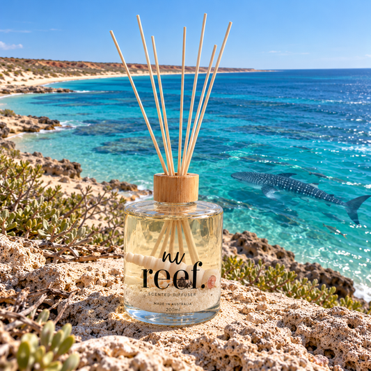 reef. Diffuser - Ningaloo